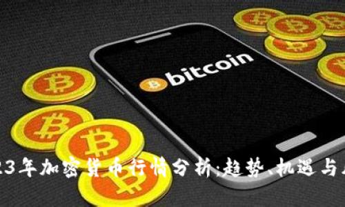 2023年加密货币行情分析：趋势、机遇与风险