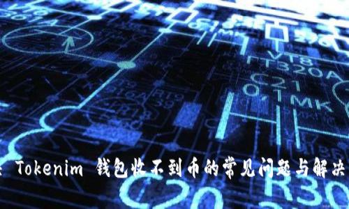 解决 Tokenim 钱包收不到币的常见问题与解决方案