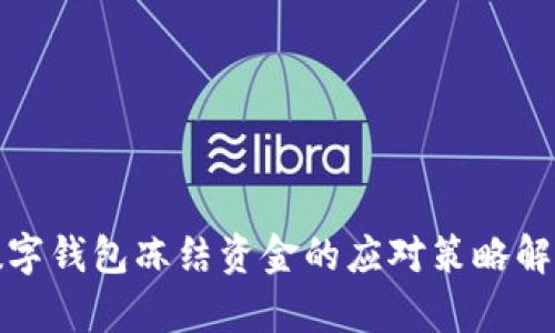 数字钱包冻结资金的应对策略解析