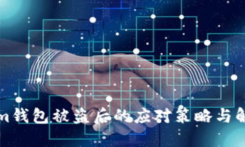Tokenim钱包被盗后的应对策略与解决方法