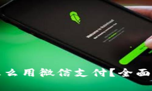 数字钱包的钱怎么用微信支付？全面解析与实用指南