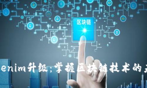 Tokenim升级：掌握区块链技术的未来
