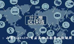 : 山寨TokenIM：背后真相与投资风险解析