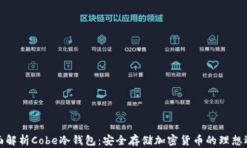 
全面解析Cobe冷钱包：安全存储加密货币的理想选择