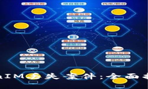 如何处理TokenIM丢失案件：全面指南与解决方案