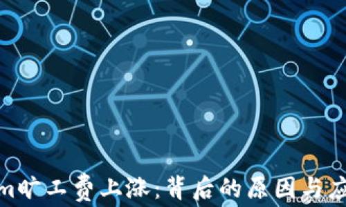 
tokenim旷工费上涨：背后的原因与应对策略