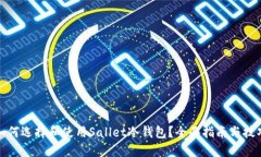 如何选择和使用Sallet冷钱包？全面指南与技巧