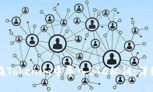 如何在Tokenim中导入BTC私钥:详细指南