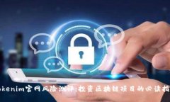 Tokenim官网风险测评：投资区块链项目的必读指南