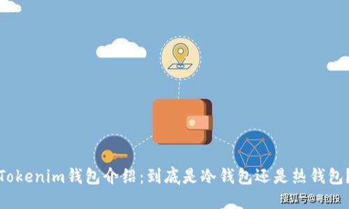 Tokenim钱包介绍：到底是冷钱包还是热钱包？