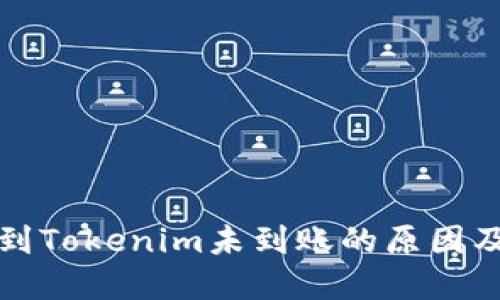 火币转账到Tokenim未到账的原因及解决方法