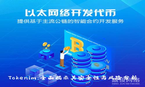 Tokenim：全面揭示其安全性与风险分析