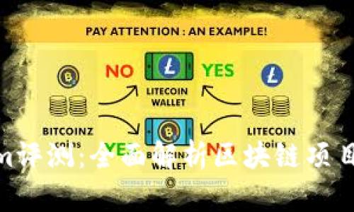 : Tokenim评测：全面解析区块链项目的优劣势