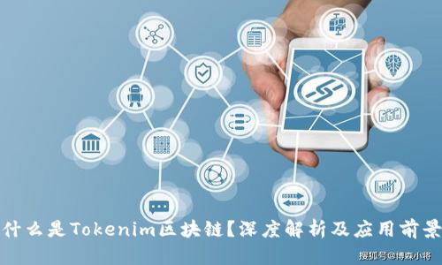 什么是Tokenim区块链？深度解析及应用前景