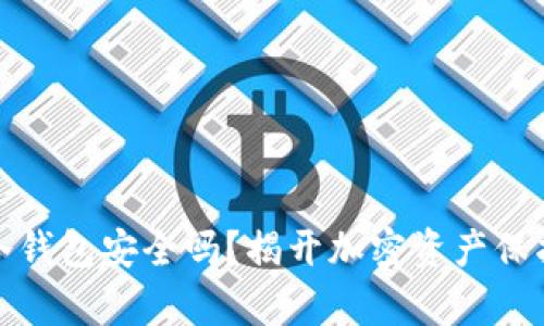 数字币冷钱包安全吗？揭开加密资产保护的真相