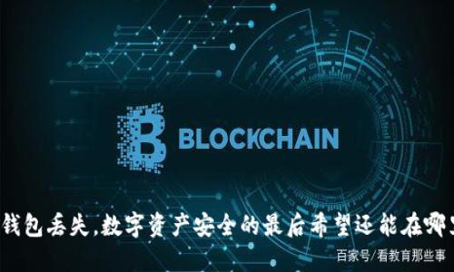 冷钱包丢失，数字资产安全的最后希望还能在哪里？