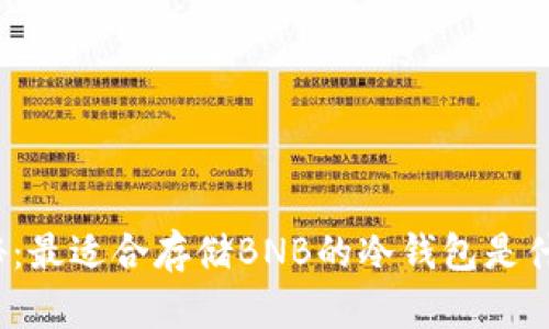 揭秘：最适合存储BNB的冷钱包是什么？