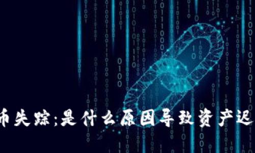 冷钱包提币失踪：是什么原因导致资产迟迟未到账？