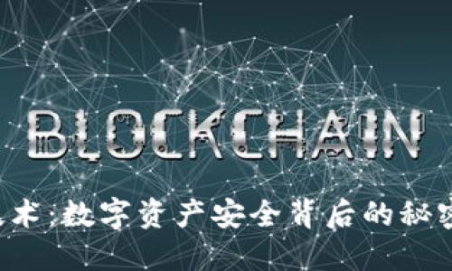  “冷钱包桥接技术：数字资产安全背后的秘密，你了解多少？”