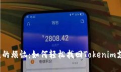 密码丢失的烦恼：如何轻松找回Tokenim支付密码？