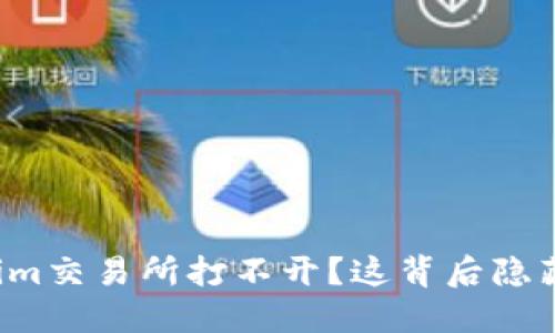 为什么Tokenim交易所打不开？这背后隐藏着什么问题？