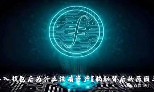 Tokenim导入钱包后为什么没有资产？揭秘背后的原因与解决方案