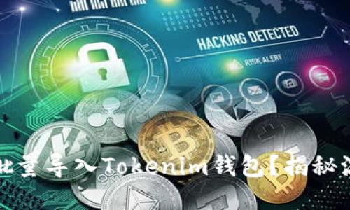 如何高效批量导入Tokenim钱包？揭秘流程与技巧