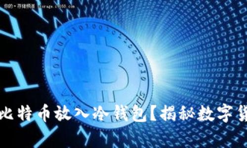 如何安全地将比特币放入冷钱包？揭秘数字货币存储的秘密