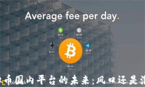 
虚拟币国内平台的未来：风口还是泡沫？