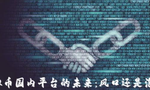 
虚拟币国内平台的未来：风口还是泡沫？