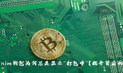 Tokenim钱包为何总是显示“打包中”？揭开背后的秘密