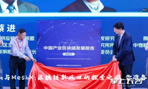 Tokenim与MeshX：区块链新风口的探索之旅，你准备好了吗？