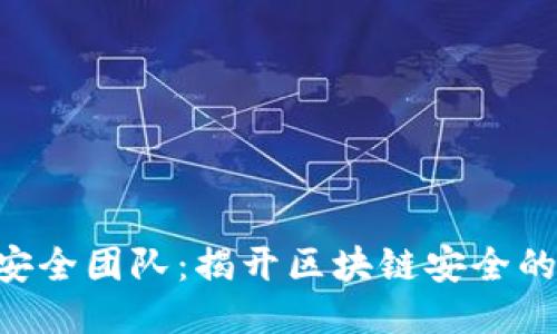 Tokenim安全团队：揭开区块链安全的神秘面纱