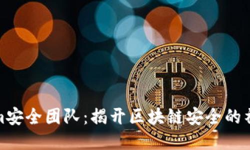 Tokenim安全团队：揭开区块链安全的神秘面纱
