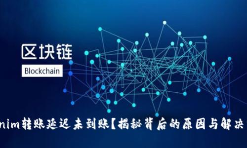 Tokenim转账延迟未到账？揭秘背后的原因与解决方案！