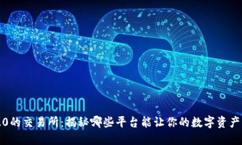 支持BEP20的交易所：揭秘哪些平台能让你的数字资产大展身手？