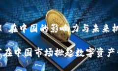 理解 TokenIM 在中国的影响力与未来机遇TokenIM 如何