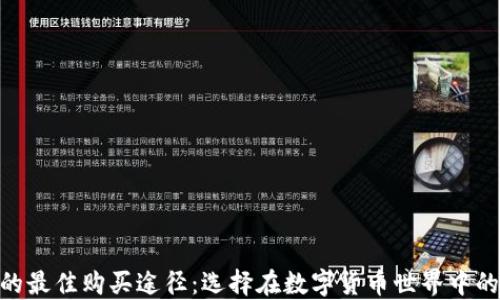 
寻找USDT的最佳购买途径：选择在数字货币世界中的安全航道？