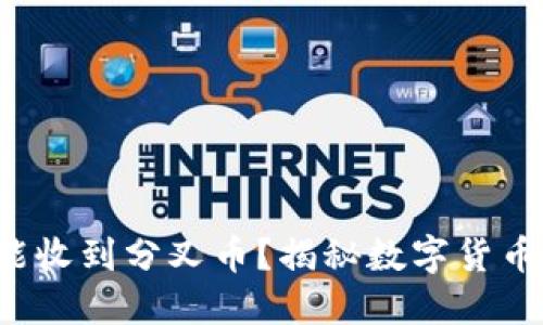 放在冷钱包能收到分叉币？揭秘数字货币的神秘面纱！