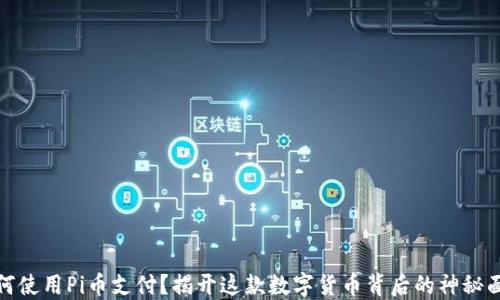 
如何使用Pi币支付？揭开这款数字货币背后的神秘面纱