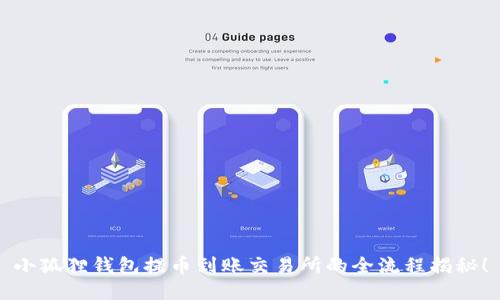 小狐狸钱包提币到账交易所的全流程揭秘！