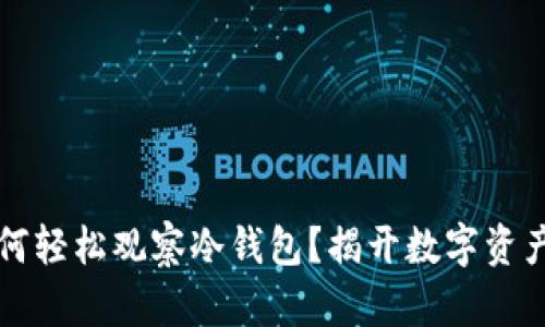 苹果手机如何轻松观察冷钱包？揭开数字资产的神秘面纱