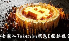   如何将纪州犬币安全转入Tokenim钱包？揭秘操作