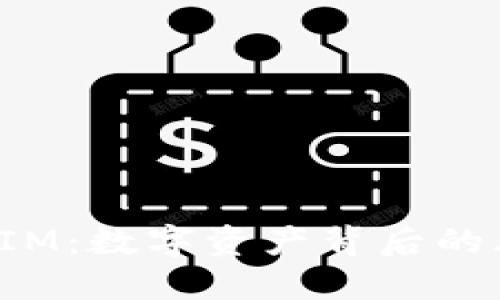 探秘TokenIM：数字资产背后的风险与机遇