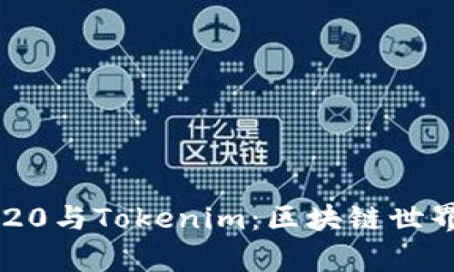  全面解析ERC20与Tokenim：区块链世界中的代币标准