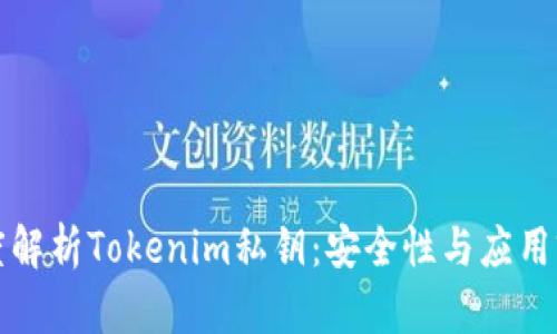 深度解析Tokenim私钥：安全性与应用前景