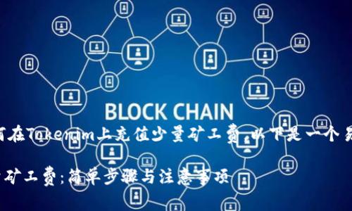 为了帮助您更好地了解如何在Tokenim上充值少量矿工费，以下是一个易于理解并的和相关关键词：

如何在Tokenim上充值少量矿工费：简单步骤与注意事项