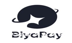 TokenIM 在以太坊链上发布的代币名称为 ＂TokenIM＂