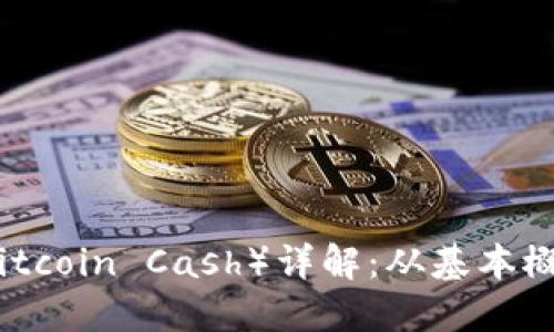 比特币现金（Bitcoin Cash）详解：从基本概念到投资策略