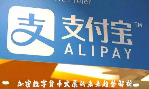 
加密数字货币发展的未来趋势解析